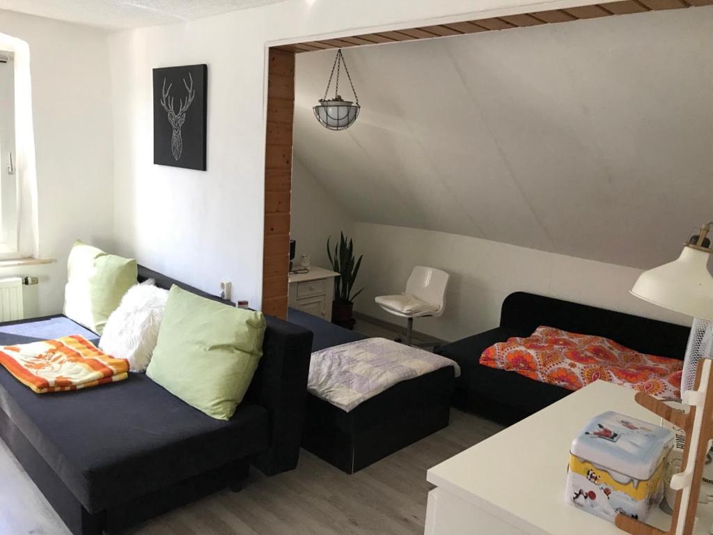 Ferienwohnung Im Einfamilienhaus, Automobil Und Robert Schumann Stadt Zwickau Zewnętrze zdjęcie